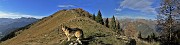 63 Dal Passo di Monte Colle (1856 m) scendiamo a Piazzatorre sul sent. 118